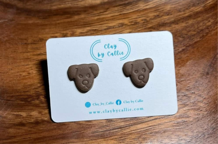 Brown dog studs